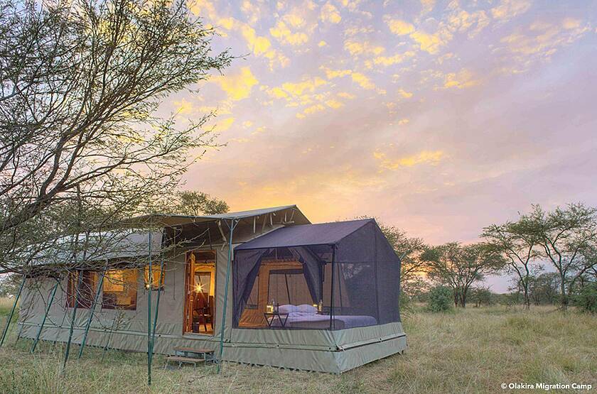  Olakira Migration Camp - Serengeti | Voyage sur mesure Tanzanie