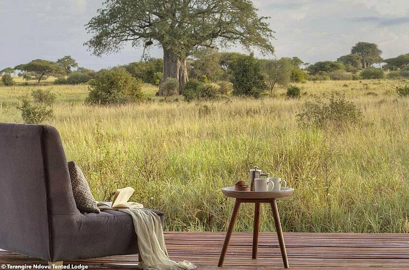 Tarangire Ndovu Tented Lodge | Voyage safari sur mesure luxe Tanzanie
