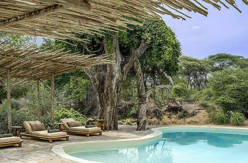 Laba Jongomero Camp - Parc national de Ruaha | Voyage safari sur mesure luxe Tanzanie