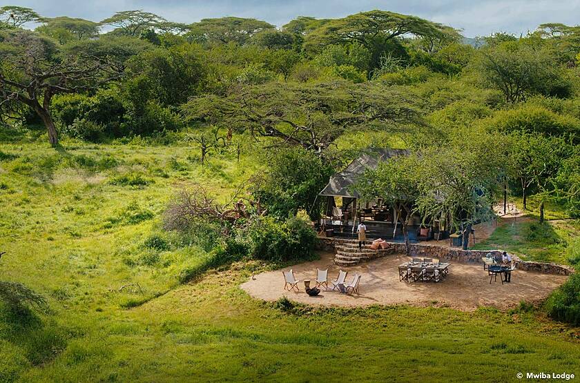 Mwiba Lodge - Serengeti | Voyage sur mesure luxe Tanzanie