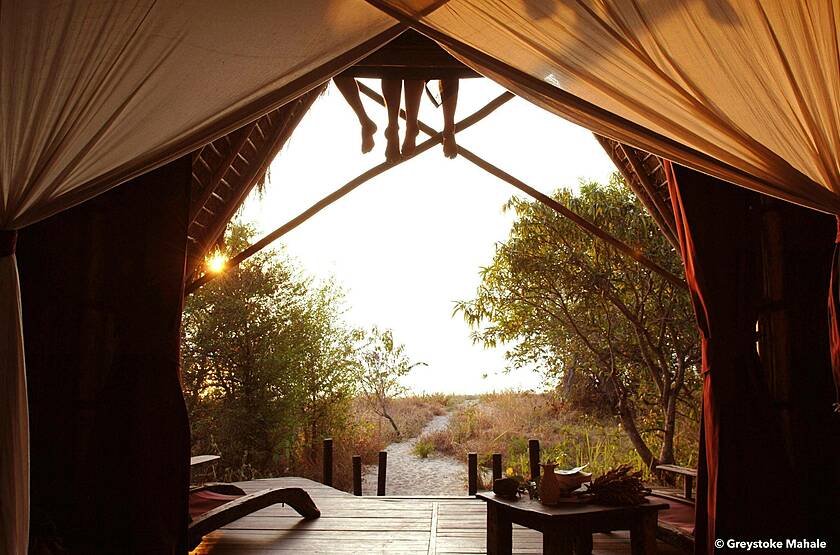 Greystoke Mahale | Voyage sur mesure luxe Tanzanie