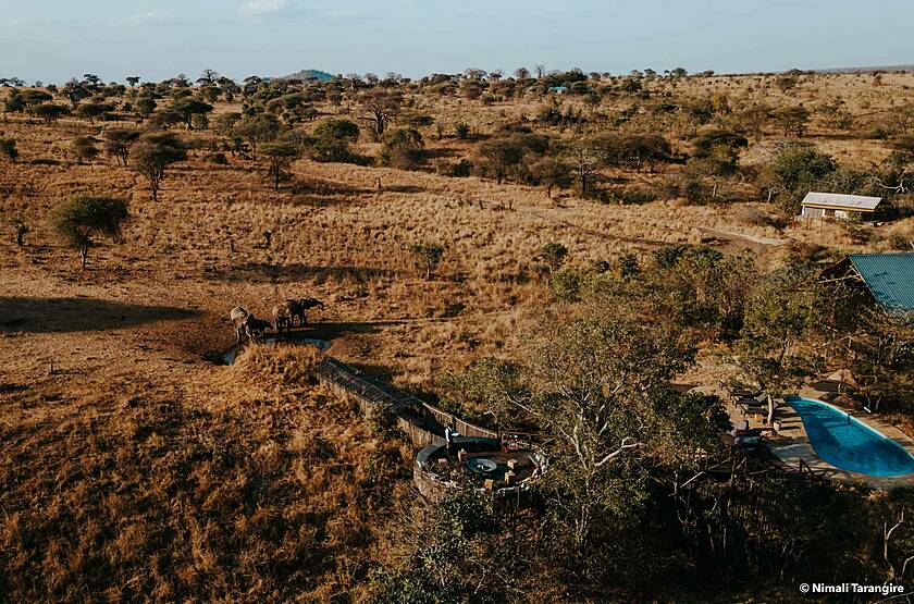 Nimali Tarangire  | Voyage safari sur mesure luxe Tanzanie