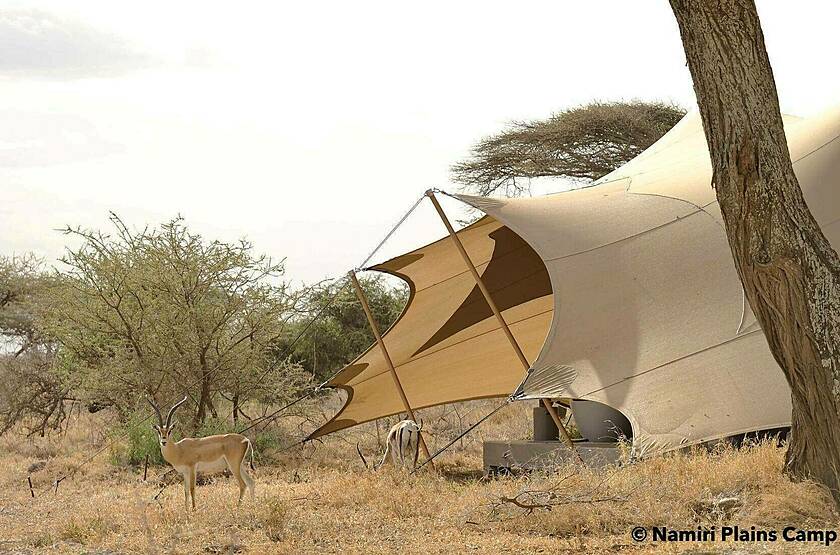  Namiri Plains Camp - Serengeti | Voyage sur mesure luxe Tanzanie