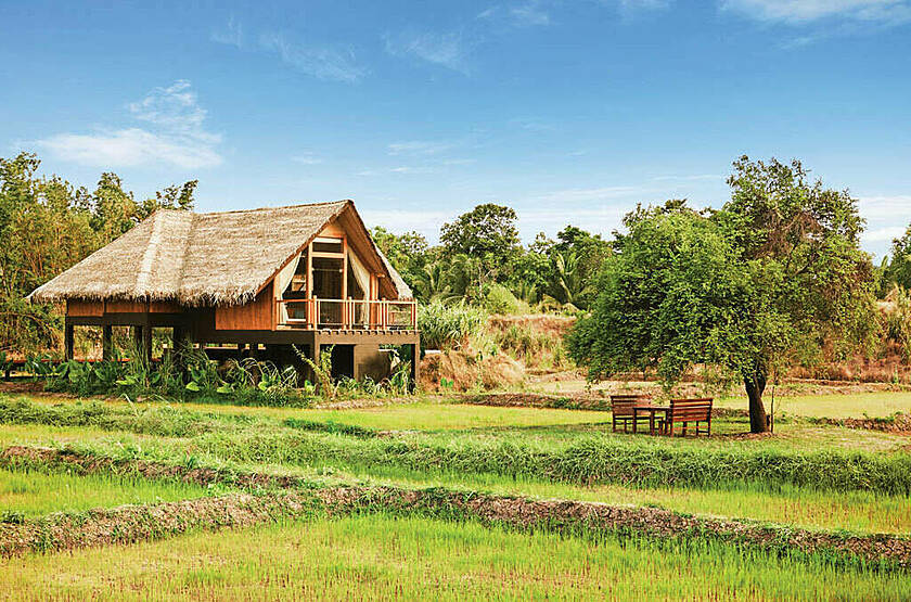 Jetwing Vil Uyana - Sirigiya | Voyage sur mesure luxe Sri Lanka