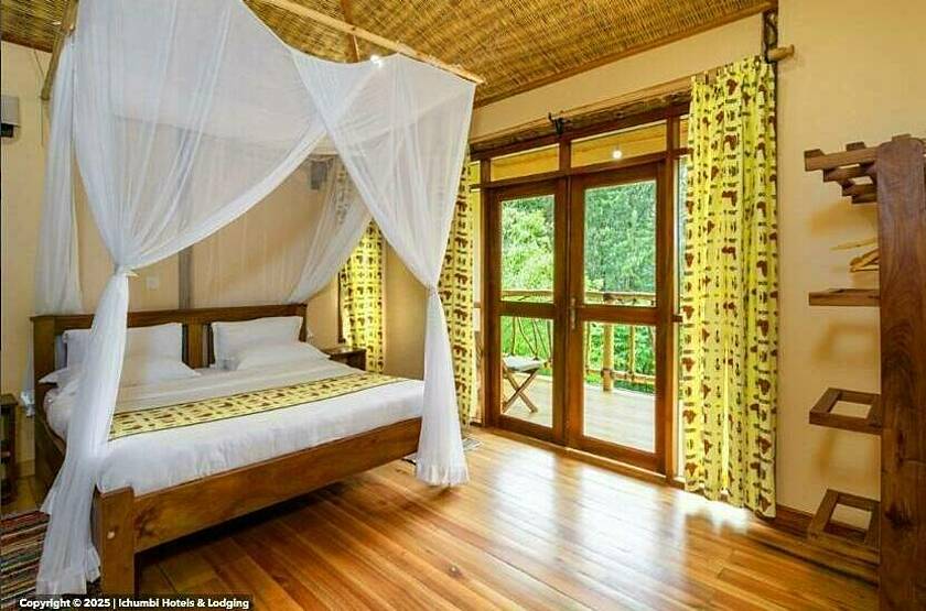 Ichumbi Gorilla Lodge - Parc national de la forêt impénétrable de Bwindi | Voyage sur mesure luxe Ouganda