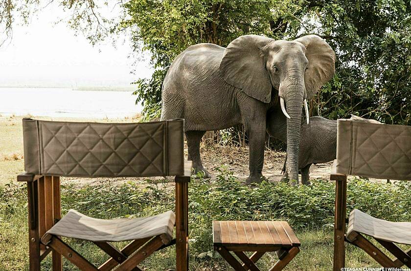  Wilderness Ruckomechi - Mana Pools | Voyage safari luxe sur mesure Zimbabwe