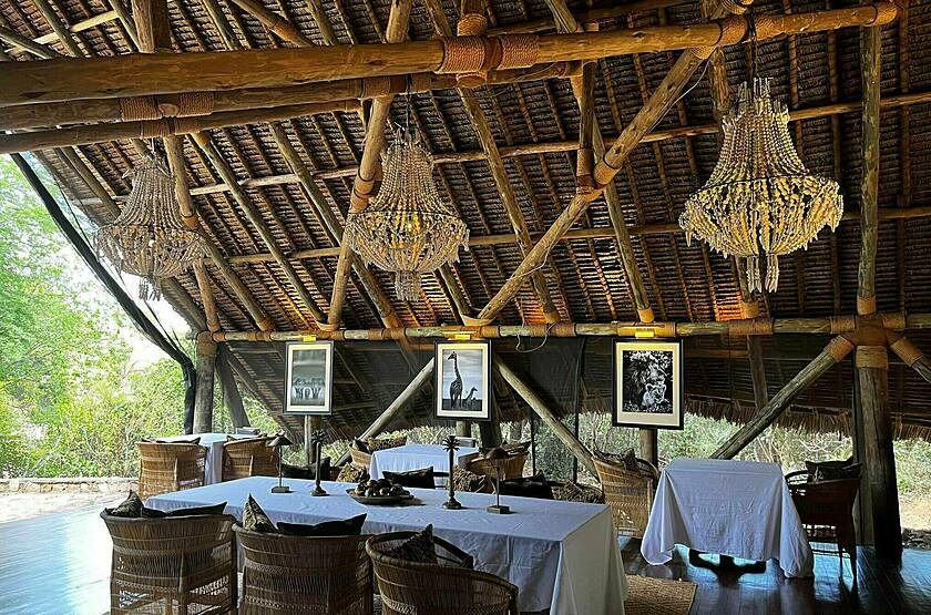 Laba Jongomero Camp - Parc national de Ruaha | Voyage safari sur mesure luxe Tanzanie