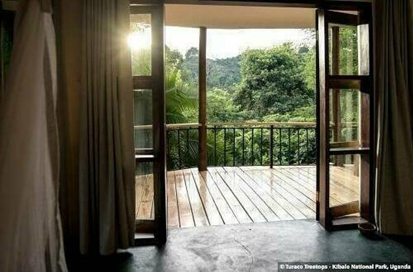  Turaco Treetops - Parc national de Kibale | Voyage sur mesure luxe Ouganda