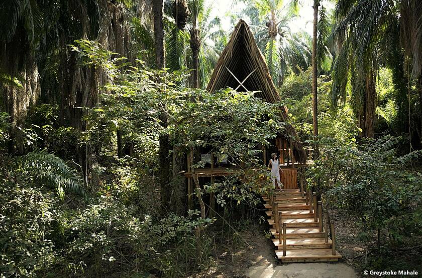 Greystoke Mahale | Voyage sur mesure luxe Tanzanie