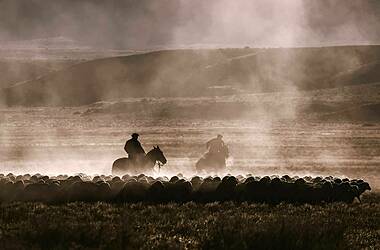 L'Argentine : faune, flore, gauchos, voyage Amériques