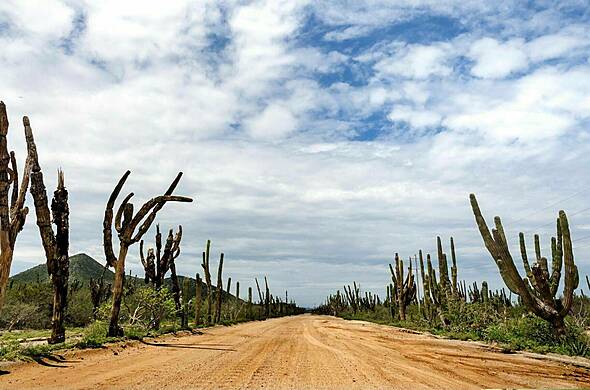 Autotour au Mexique, voyage Amériques